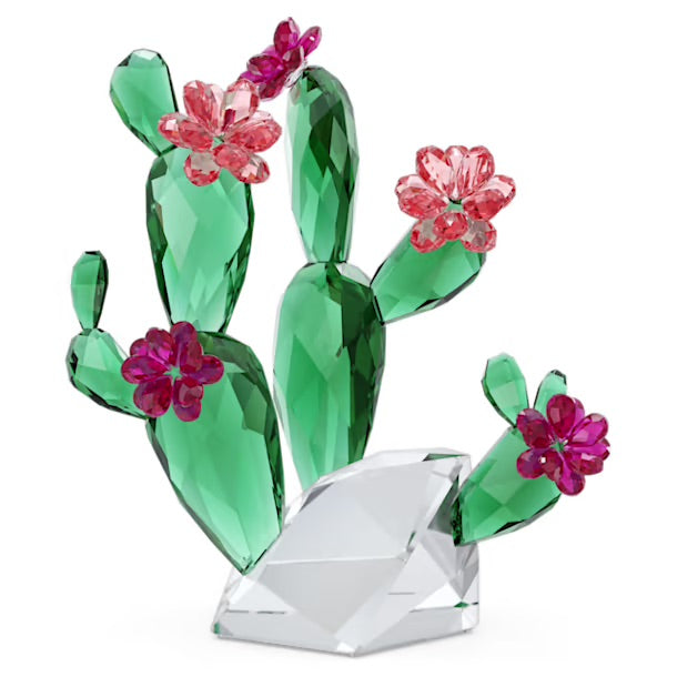 Crystal Flowers Wüstenpink Kaktus